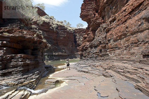 Mann steht in Kalamina Gorge Karijini National Park Pilbara Region Westaustralien WA