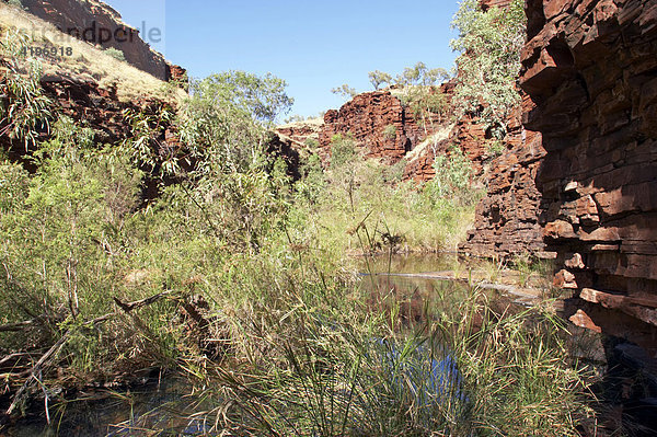 Hancock Gorge Karijini National Park Pilbara Region Westaustralien WA