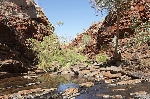 Hancock Gorge Karijini National Park Pilbara Region Westaustralien WA