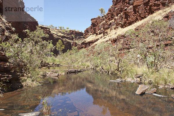 Hancock Gorge Karijini National Park Pilbara Region Westaustralien WA