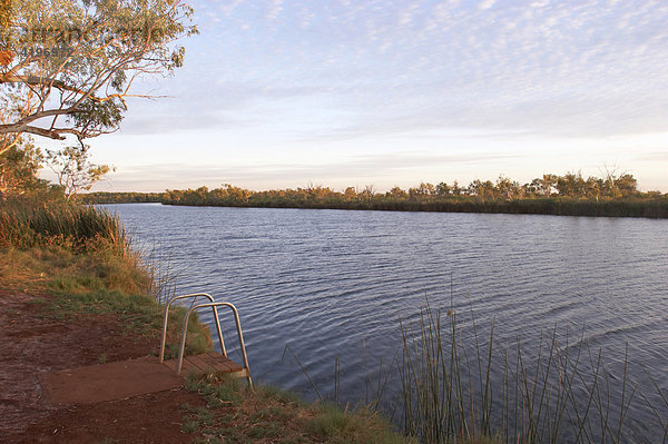 Morgenstimmung am Deep Reach Pool im Millstream Chichester National Park Pilbara Region Westaustralien WA
