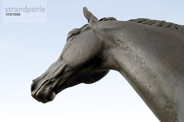 Pferdekopf aus Bronze auf Schloss Wickrath  Mönchengladbach  Nordrhein-Westfalen  Deutschland