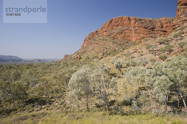 Osmono Lookout  Bungle Bungle  Purnululu National Park  Unesco Weltkulturerbe  Kimberley  Westaustralien  Australien