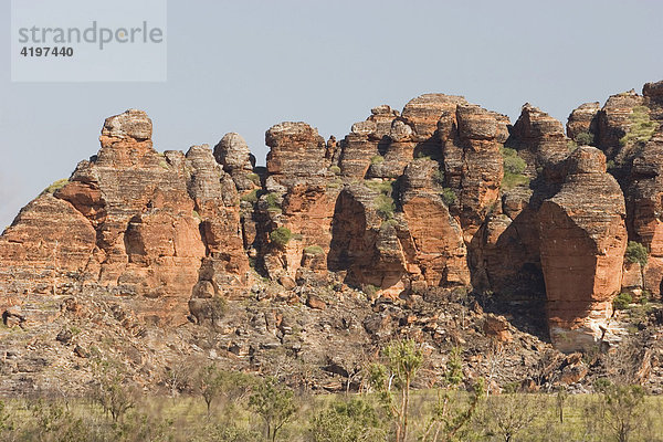 Bungle Bungle  Purnululu National Park  Unesco Weltkulturerbe  Kimberley  Westaustralien  Australien