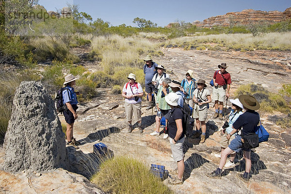 Wandergruppe und Reiseleiter (The dome walk)  Bungle Bungle  Purnululu National Park  Unesco Weltkulturerbe  Kimberley  Westaustralien  Australien