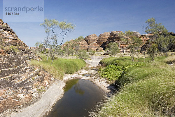 Wasserstelle  Cathedral Gorge Wandereweg  Bungle Bungle  Purnululu National Park  Unesco Weltkulturerbe  Kimberley  Westaustralien  Australien