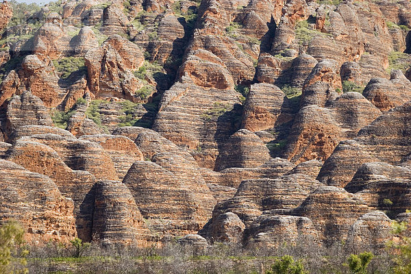 Sandstein  Bungle Bungle  Purnululu National Park  Unesco Weltnaturerbe  Kimberley  Westaustralien  WA  Australien
