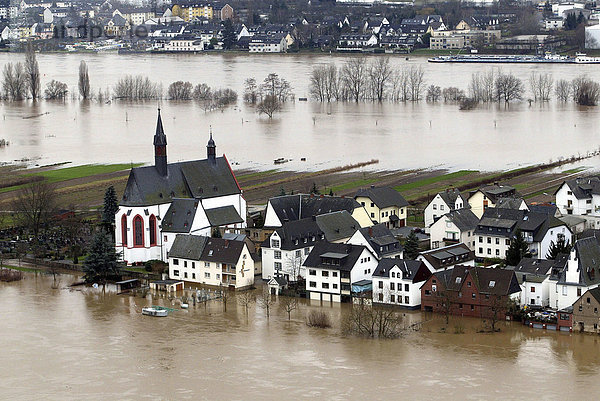 Die Rheininsel Niederwerth bei Hochwasser  Niederwerth  Rheinland-Pfalz  Deutschland