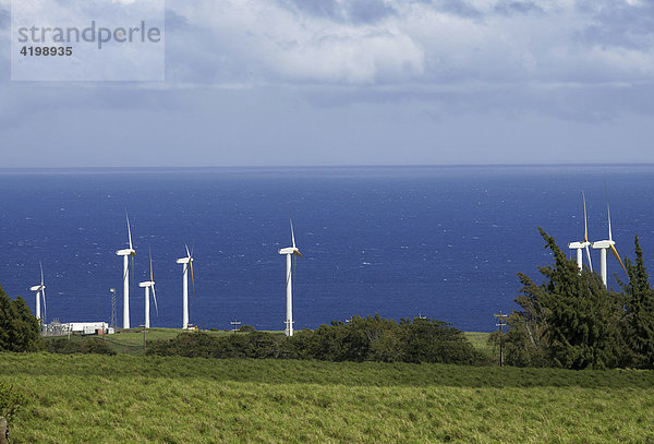 Windkraftanlage auf Big Island  Hawaii  USA