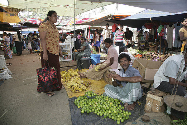 Ein Mann verkauft auf dem Markt in Tangalle Obst und Gemüse  Sri Lanka  Asien