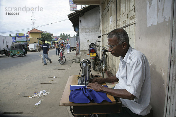 Schneider in Tangalle  Sri Lanka  Asien