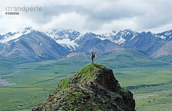 Wanderer vor der Alaska Range im Denali Nationalpark  Alaska