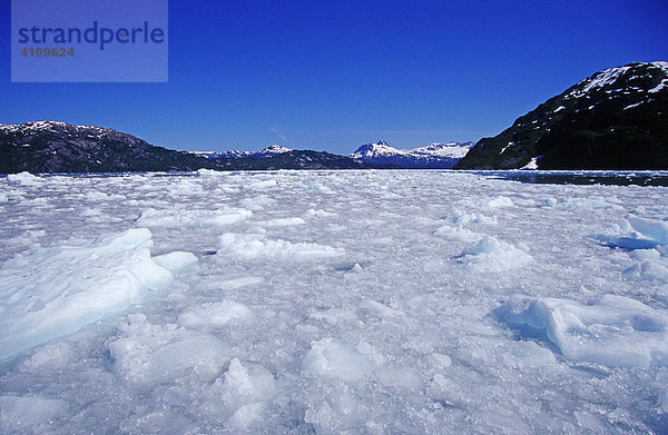 Eisgefüllter Fjord des Chenega Gletschers  Prince William Sound  Alaska  USA