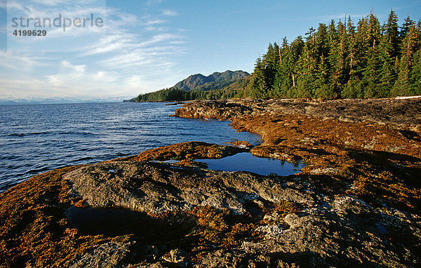 Uferlandschaft  Prince William Sound  Alaska  USA