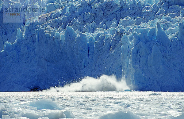 Eisbrocken vom Chenega Gletscher fallen ins Meer  Prince William Sound  Alaska  USA