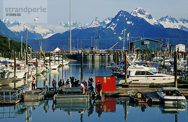 Hafen von Valdez  Prince William Sound  Alaska  USA