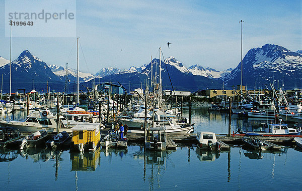 Hafen von Valdez  Prince William Sound  Alaska  USA