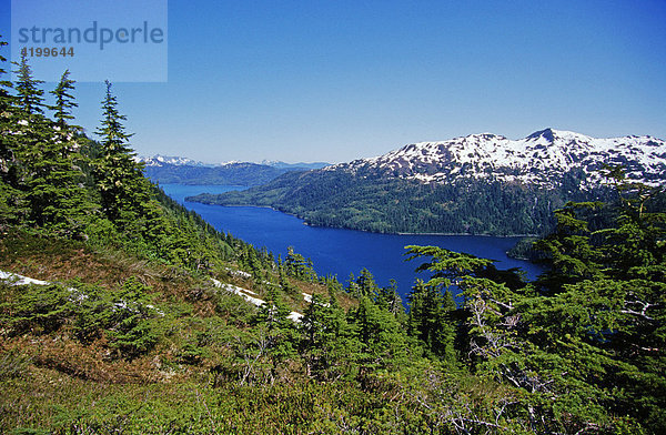 Fjordlandschaft  Prince William Sound  Alaska  USA