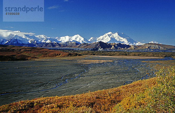 Flussbett und Herbsttundra vor Mt. McKinley  Denali N.P.  Alaska  USA