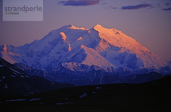 Mt. McKinley im Abendlicht  Denali N.P.  Alaska  USA