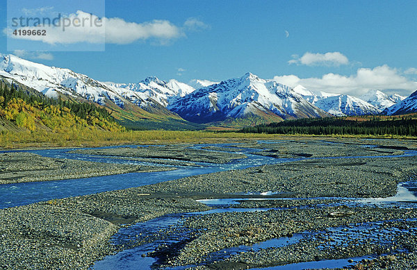 Der weit verzweigte Teklanika River fliesst aus den Bergen der Alaska Range  Denali N.P.  Alaska  USA