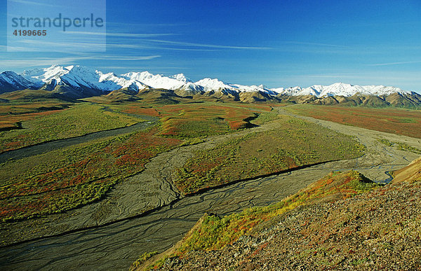 Die Berge der Alaska Range mit der farbigen Herbsttundra  Denali N.P.  Alaska  USA