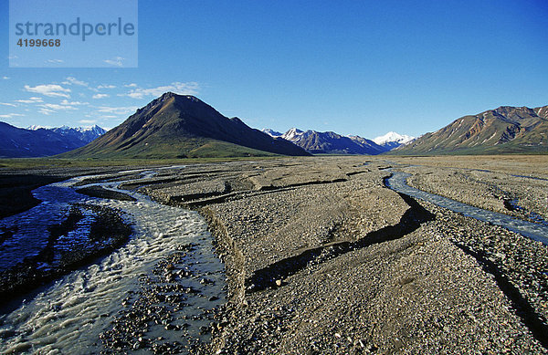 Stark verzweigte Flüsse in einem weiten Flussbett fliessen aus den Bergen der Alaska Range  Denali N.P.  Alaska  USA