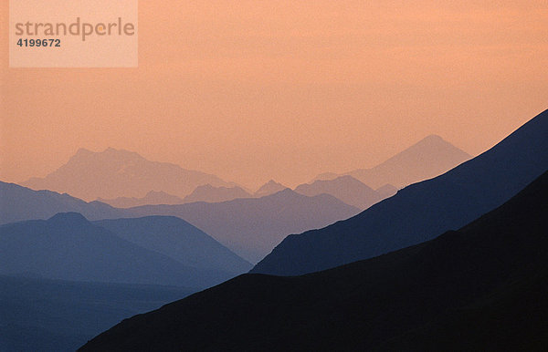 Berge der Alaska Range im Sonnenuntergang  Denali N.P.  Alaska  USA