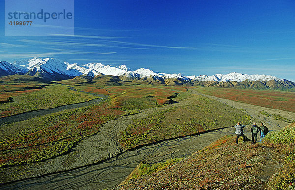 Wanderer geniessen die Alaska Range mit der Herbsttundra  Denali N.P.  Alaska  USA