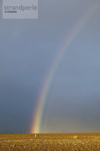 Regenbogen mit Mensch  Island
