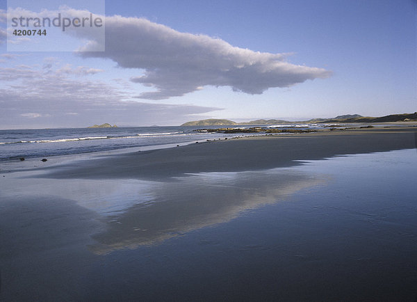 Landschaft am nördlichen Ende der Nordinsel  Henderson Bay Beach  Neuseeland