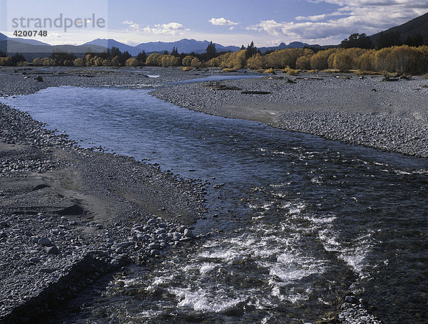 Landschaft  Maruia-River zwischen Maruia und Springs Junction  Südinsel  Neuseeland