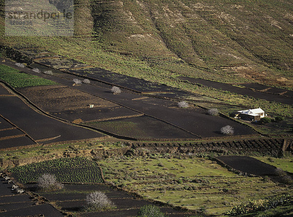 Agrarlandschaft im Valle de Temisa Lanzarote  Kanarische Inseln  Spanien  Europa