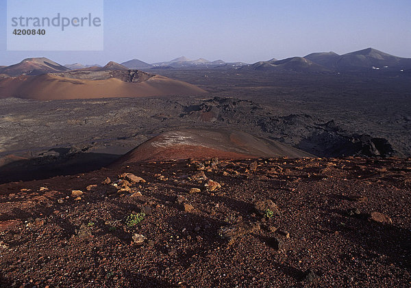 Landschaft  Montanas del Fuego Parque Nacional de Timanfaya Lanzarote  Kanarische Inseln  Spanien  Europa