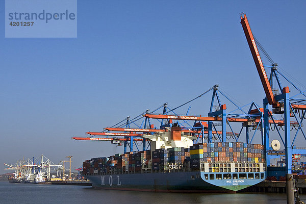 Containerschiffe am Containerterminal Burchardkai im Hamburger Hafen  Hamburg  Deutschland  Europa