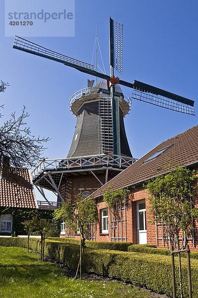 Historische Windmühle  zweistöckiger Galerieholländer mit Windrose  Peldemühle  Esens  Ostfriesland  Niedersachsen  Deutschland  Europa