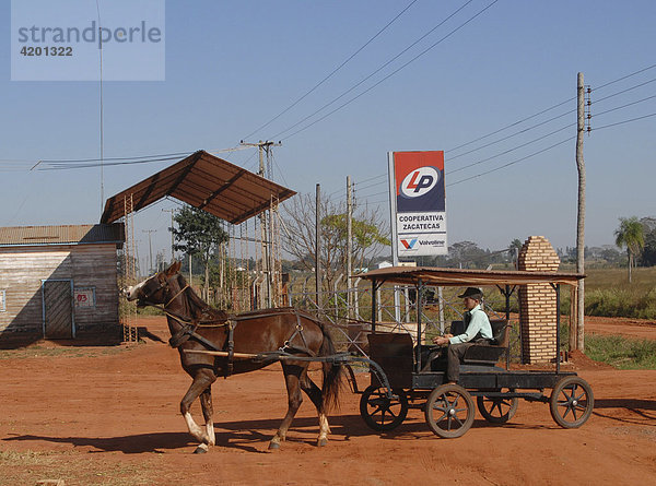 Traditionelle Mennoniten (Altkolonier) in Paraguay  Junge mit typischem Pferdewagen vor Tankstellenschild