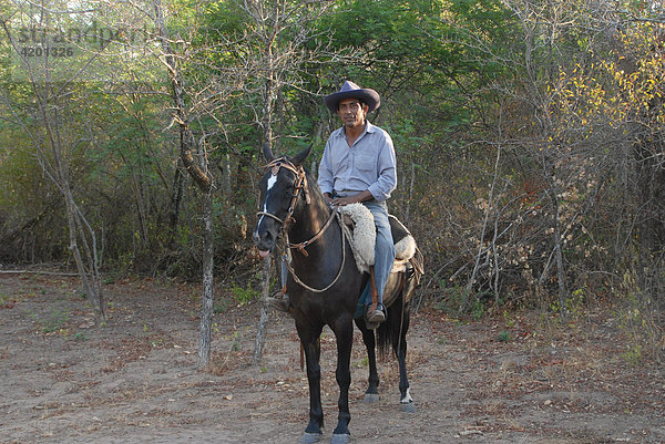 Südamerikanischer Landarbeiter  Campesino  auf dunklem Pferd