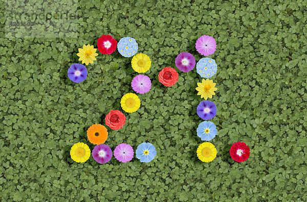 Numbers written with flowers