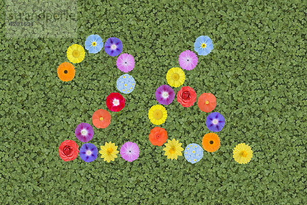 Numbers written with flowers