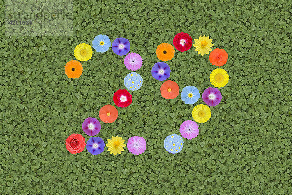 Numbers written with flowers