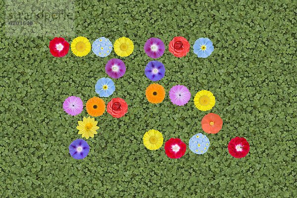 Numbers written with flowers