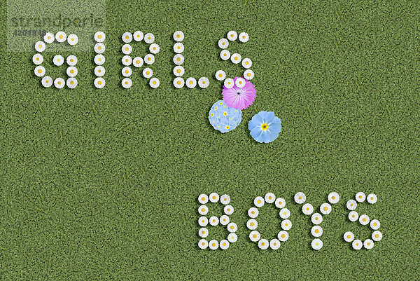 Baby girls boys written with flowers