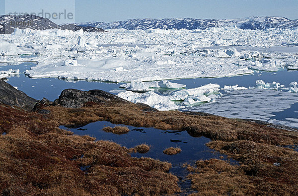 Eisberge  Disko-Bucht  Jakobshavn Eisfjord  Grönland