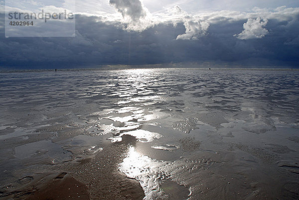 Nordseekueste  St. Peter-Ording  Schleswig-Holstein  Deutschland