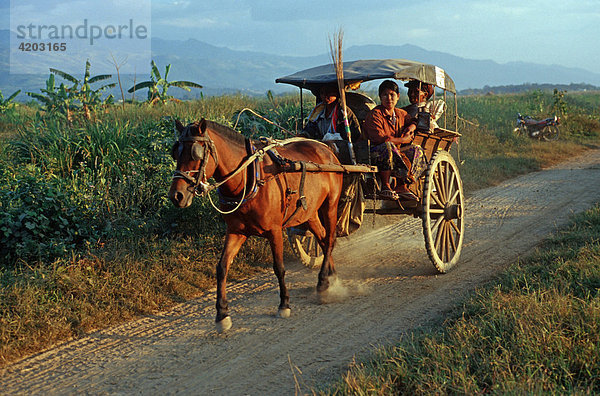 Pferdekutsche beim Inle-See  Burma