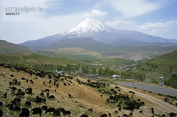 Mount Damavand  höchster Berg im Iran  Provinz Mazandaran  Iran