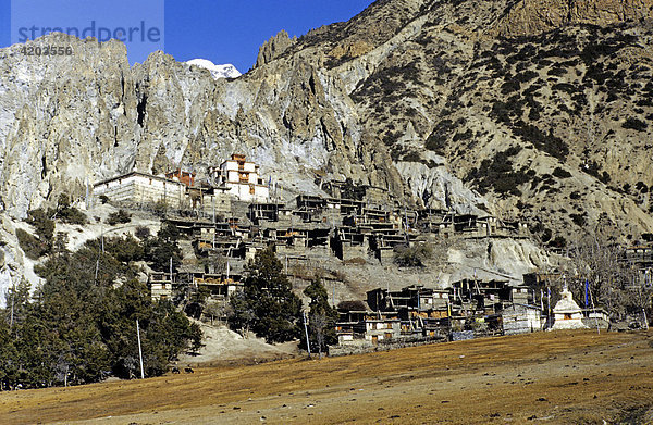 Braga auf einer Höhe von 3470 m ist ein vorwiegend von Buddhisten bewohnter Weiler im Annapura Gebiet  Himalaya  Nepal  Asien