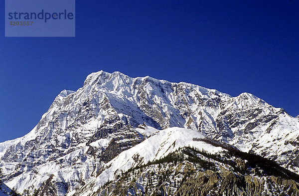 Mit 7555 Metern ist der Annapurna III der fünfthöchste Gipfel im Annapurna Gebiet  Himalaya  Nepal  Asien