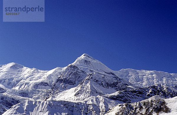 Tilicho Peak (7134 m)  Annapurna Gebiet  Himalaya  Nepal  Asien